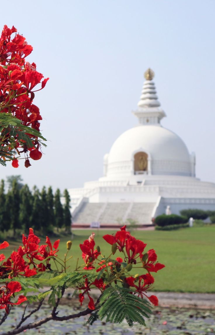 Learning About Nepali Culture in Bardaghat Village Near Lumbini