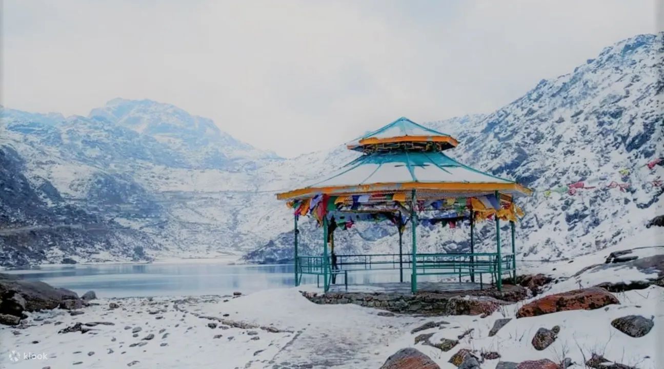 WhatsApp Image 2026 02 18 at 10.54.20 AM 1