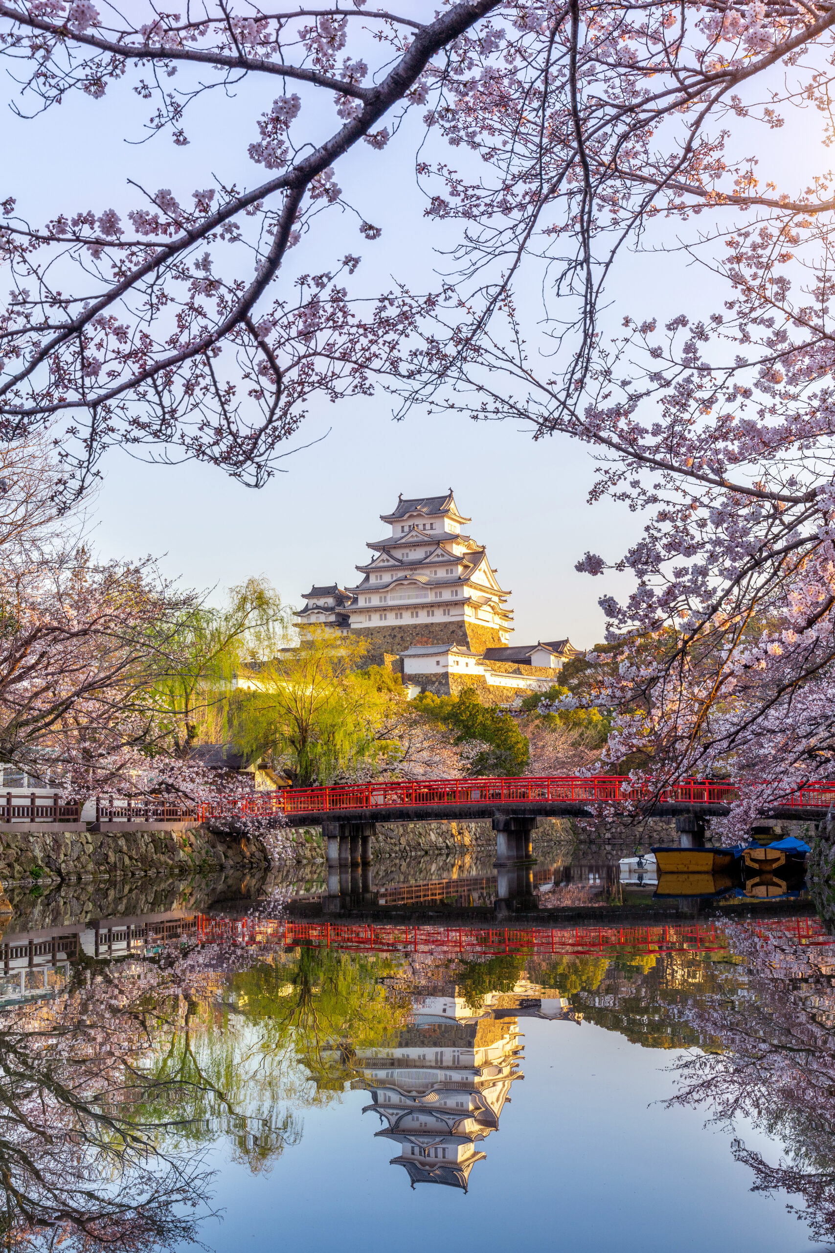cherry blossoms castle himeji japan scaled